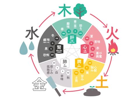 五行 冬|風邪などにやられずに冬を過ごす 【陰陽五行】 